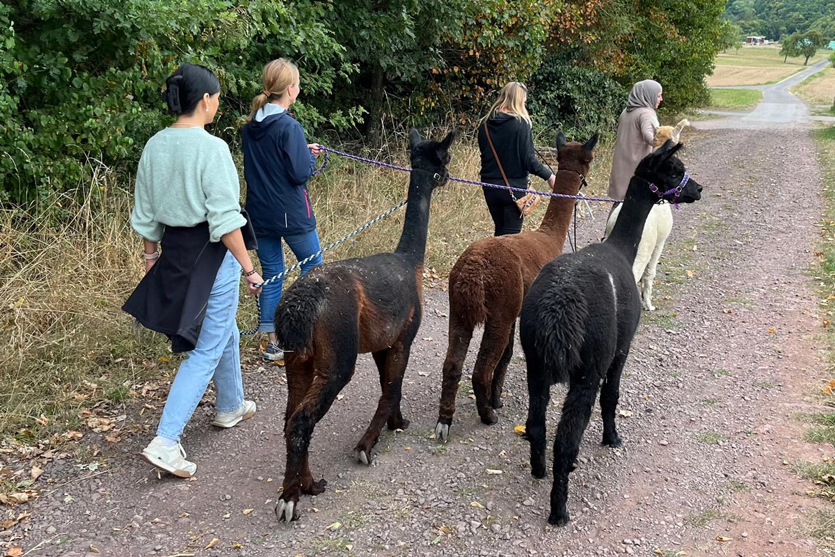 Praxis Alffen Outdoor Zentrum 01